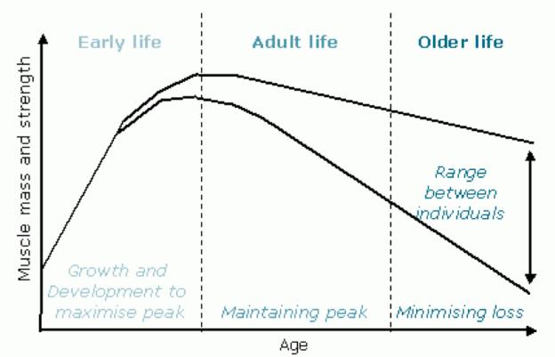 age decline
